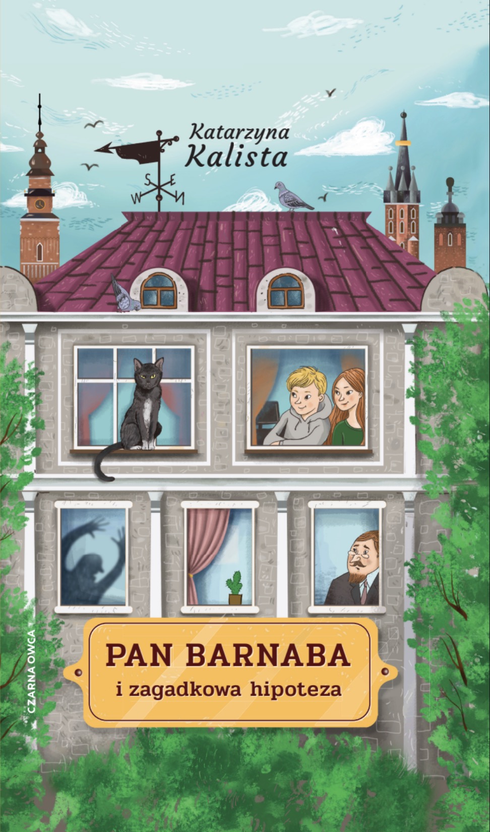 Cover of Pan Barnaba i zagadkowa hipoteza